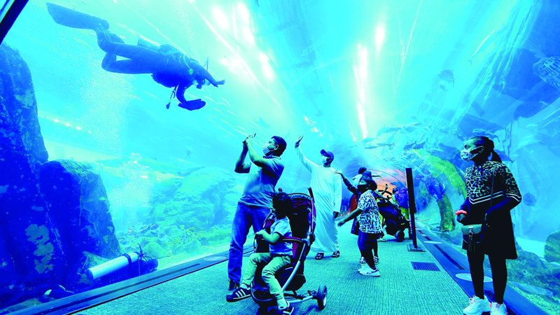 الامارات | دبي أكثر استدامة.. لافتات توعية «تسبح في الأكواريوم»