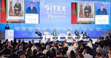 تكنولوجيا: مسئولة أممية: الذكاء الاصطناعى سيضيف لاقتصاد أفريقيا 1.5 تريليون دولار