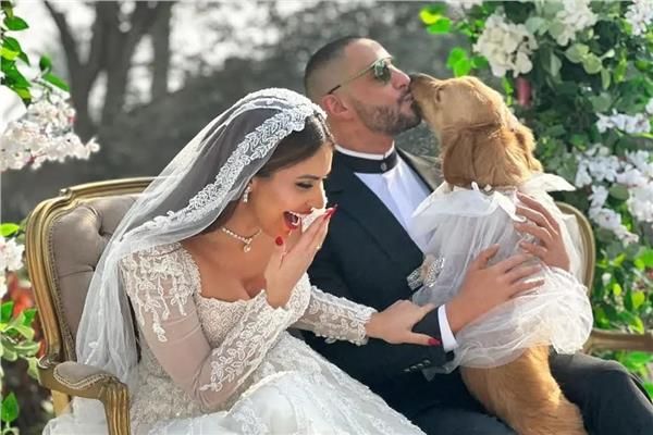 فيلم بنقدر ظروفك يشهد هبوطًا في مستوى إيراداته