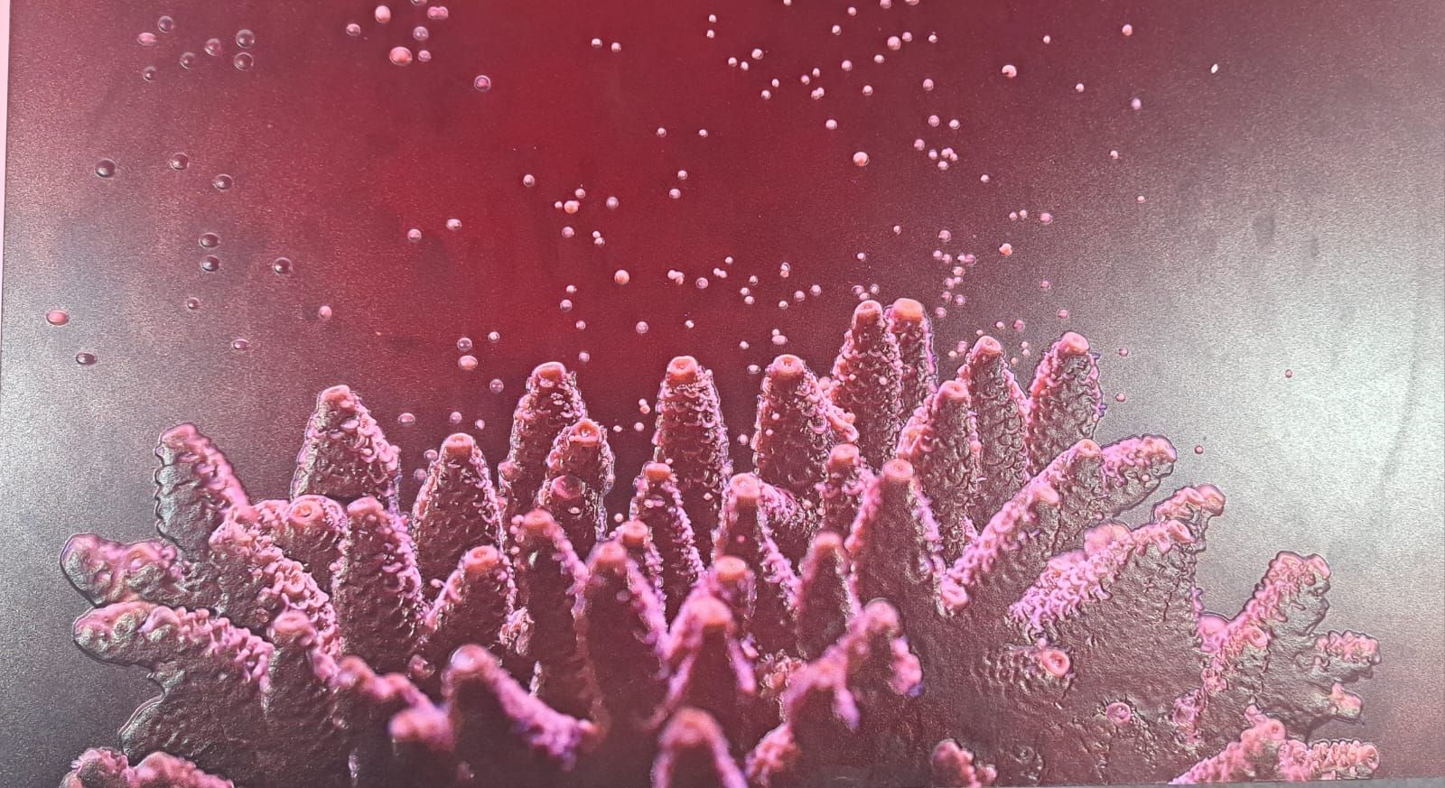 تكنولوجيا: على طريقة برايل.. كانون تبتكر تقنية فى طباعة الصور لمساعدة فاقدى البصر.. فيديو