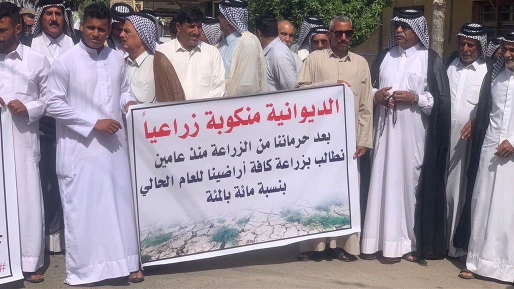 "لدينا تقنية الليزر".. الديوانية غاضبة من "فقدان هويتها" وتُريد زراعة العنبر بمساحة كاملة