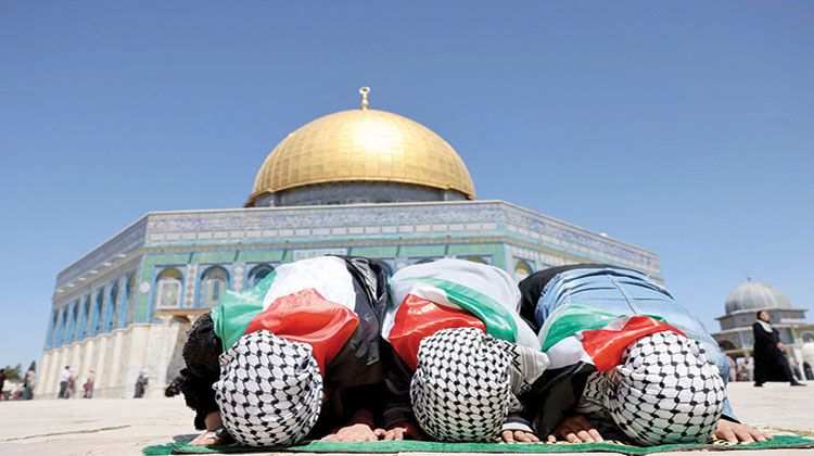 جذور الحضارة الفلسطينية تأبى أن تترك أرضها