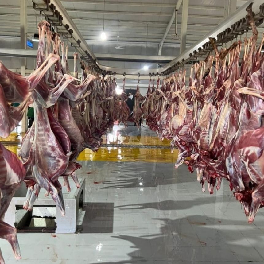 "البيئة" تستعد لموسم الحج بـ 39 مسلخًا في مكة المكرمة