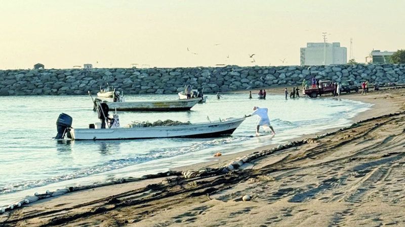 الامارات | تخصيص منطقة لتجفيف الأسماك في الفجيرة