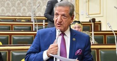 خطة النواب: نثق فى قيادتنا السياسية ووعى الشعب للعبور بمصر إلى بر الأمان