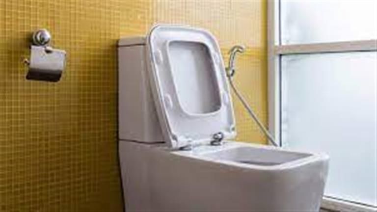 امرأة تعثر على أمر كارثي داخل وعاء المرحاض.. لن تتخيل؟ (صور)