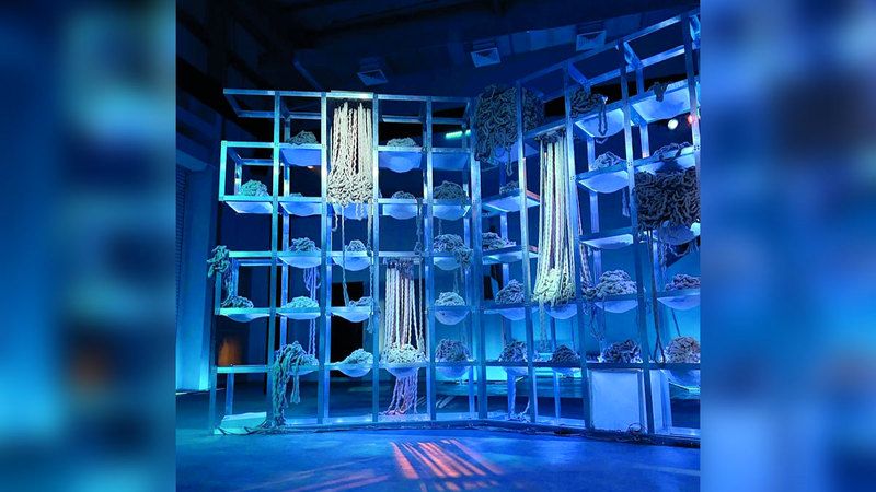 الامارات | مبدعات إماراتيات:  المنح تكريس لقوة الدولة الناعمة