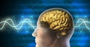 تكنولوجيا: دراسة: إدمان الإنترنت يغير كيمياء الدماغ لدى الشباب