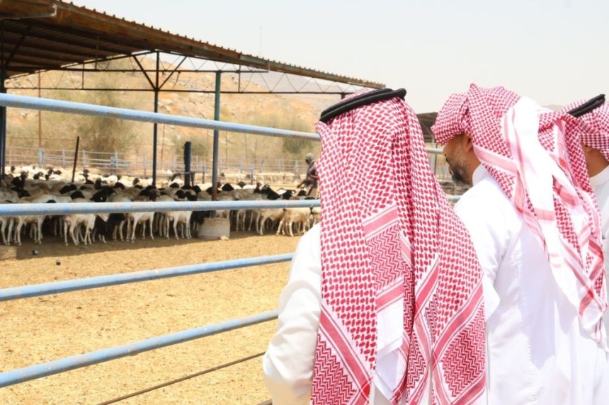 بيئة صحية للحجاج.. تفاصيل استعدادات "وقاء" لموسم الحج بمكة المكرمة