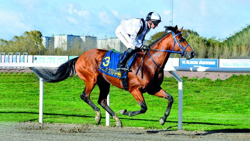 الامارات | كأس الشيخة فاطمة بنت مبارك للخيول العربية في ضيافة إسبانيا