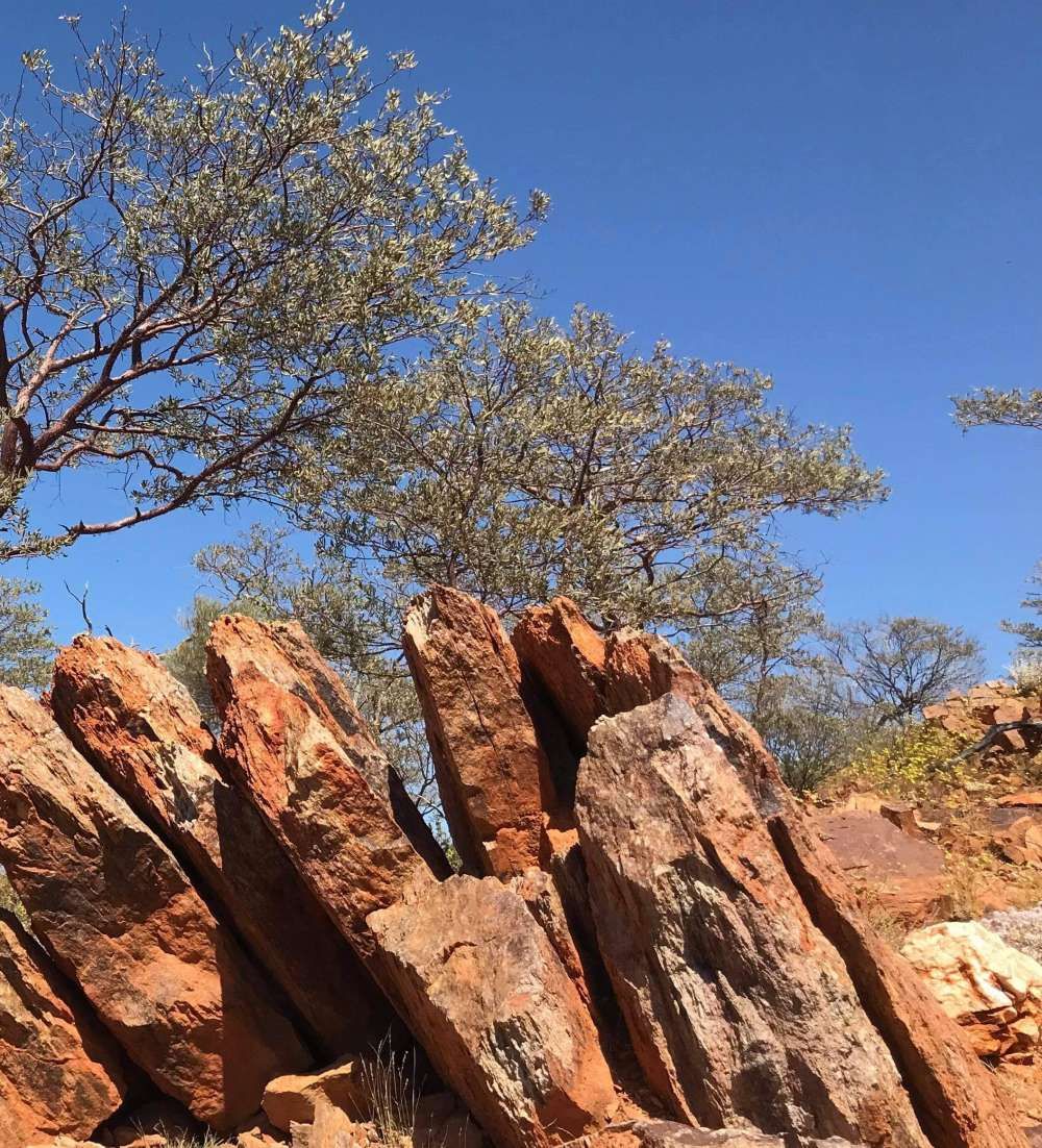 الامارات | باحثون من جامعة خليفة يكتشفون أقدم يابسة ومياه عذبة على كوكب الأرض  ​