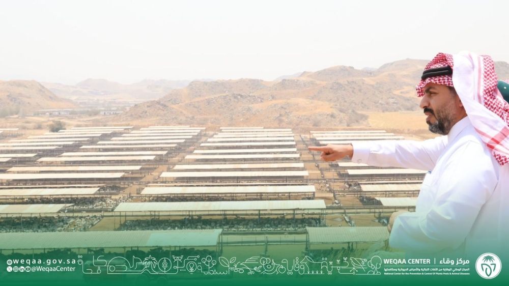 بيئة صحية للحجاج.. تفاصيل استعدادات "وقاء" لموسم الحج بمكة المكرمة