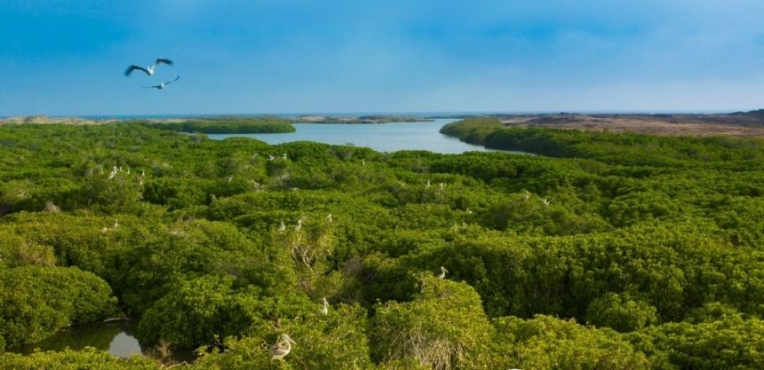 9 محظورات في لائحة التفتيش والتدقيق البيئي.. و100 ألف ريال أقصى عقوبة للمخالفين