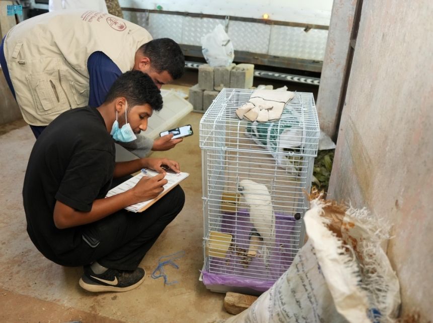 الرياض.. ضبط 4 مخالفين لاقتنائهم وعرضهم كائنات فطرية