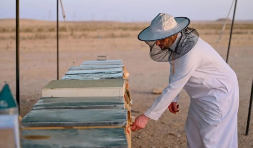 نمو الغطاء النباتي بالحدود الشمالية يحفّز الهواة لإنشاء المناحل