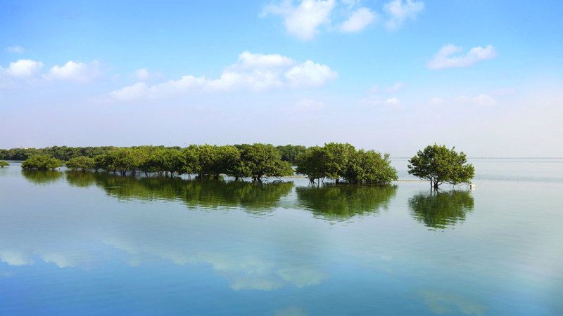 الامارات | رئيس الدولة اطلع على المشروع.. إدراج 9 مواقع مهمة للتنوع البيولوجي عالمياً في الإمارات