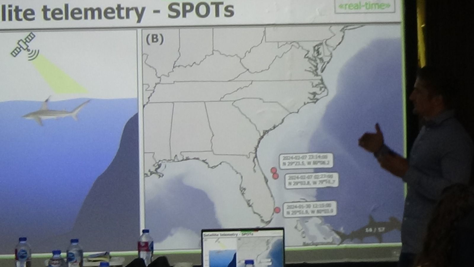 تكنولوجيا: اللجنة العلمية للبحر المتوسط تتبع تحركات أسماك القرش عبر الأقمار الصناعية