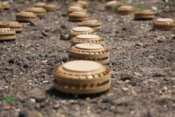 الحديدة.. إصابة مدني بانفجار لغم زرعته مليشيا الحوثي بحيس