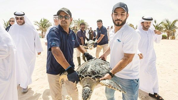 «مربى الشارقة» يحتفي بـ«يوم المحيطات»