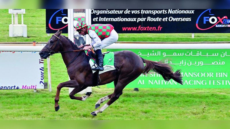 الامارات | 10 خيول تتنافس على كأس الوثبة في فرنسا