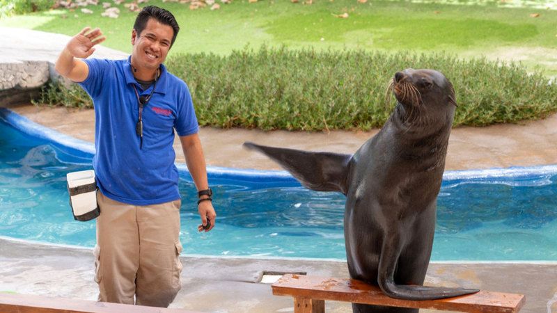 الامارات | حديقة الإمارات للحيوانات تطلق المخيم الصيفي