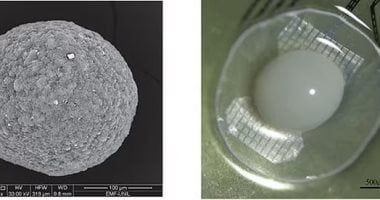تكنولوجيا: تطوير كمبيوتر من أدمغة بشرية يمكن أن يحل أزمة الطاقة في العالم