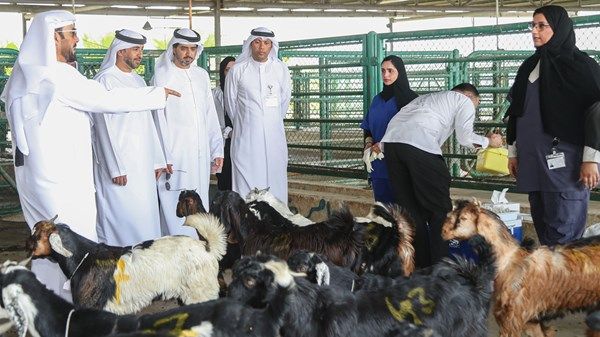 "التغير المناخي والبيئة" تضع خطة متكاملة استعداداً لموسم الأضاحي