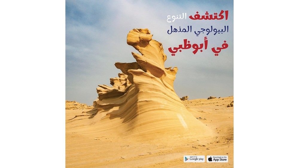 «أبوظبي ع طبيعتها» تبرز تفرد التنوع البيولوجي في الإمارة