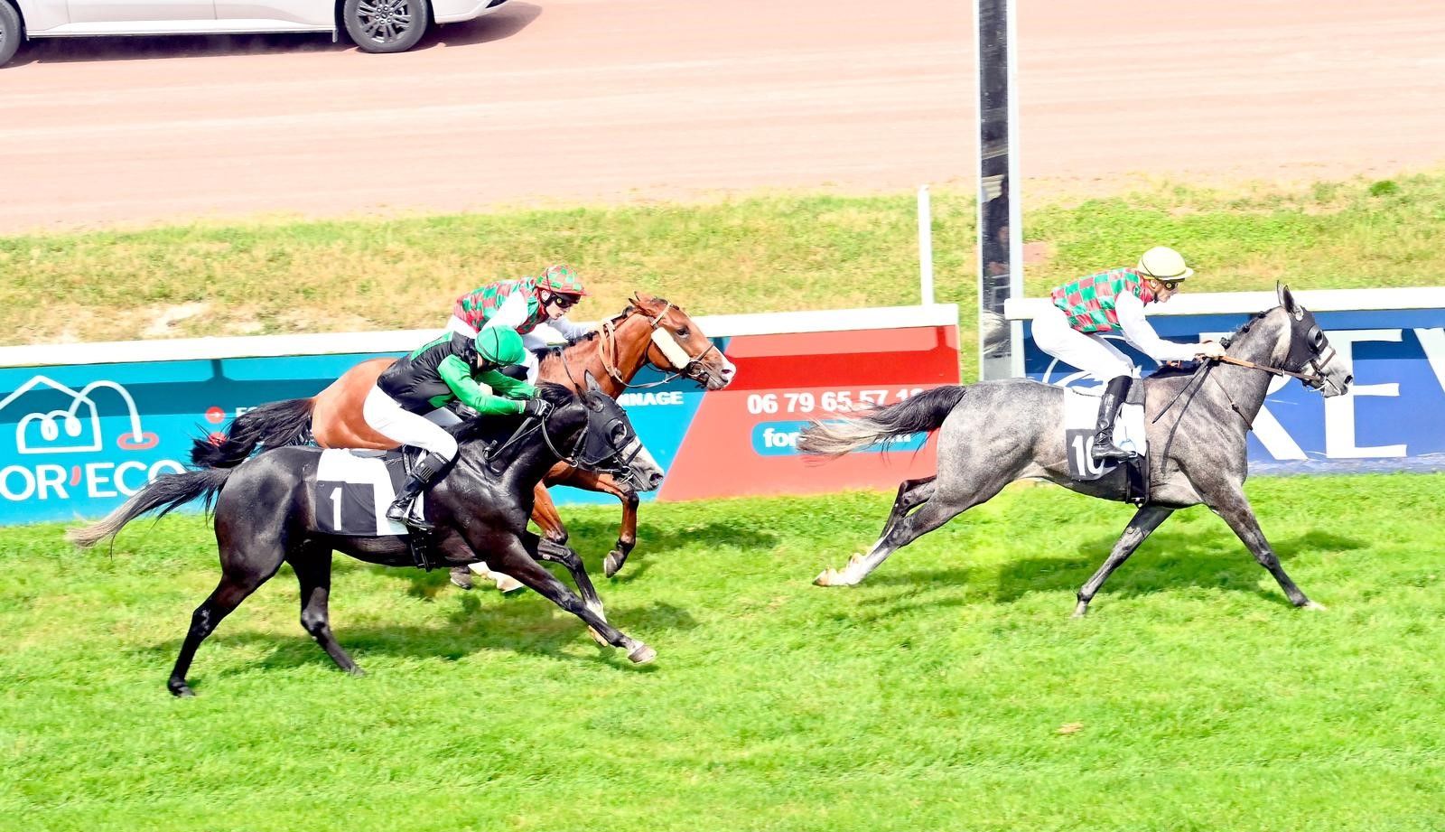 الامارات | خيول "ياس" تخطف أضواء كأس الوثبة في فرنسا