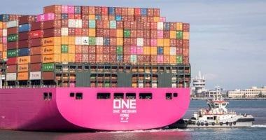 ميناء دمياط يستقبل 11 سفينة على متنها 48 ألفا و54 طن بضائع