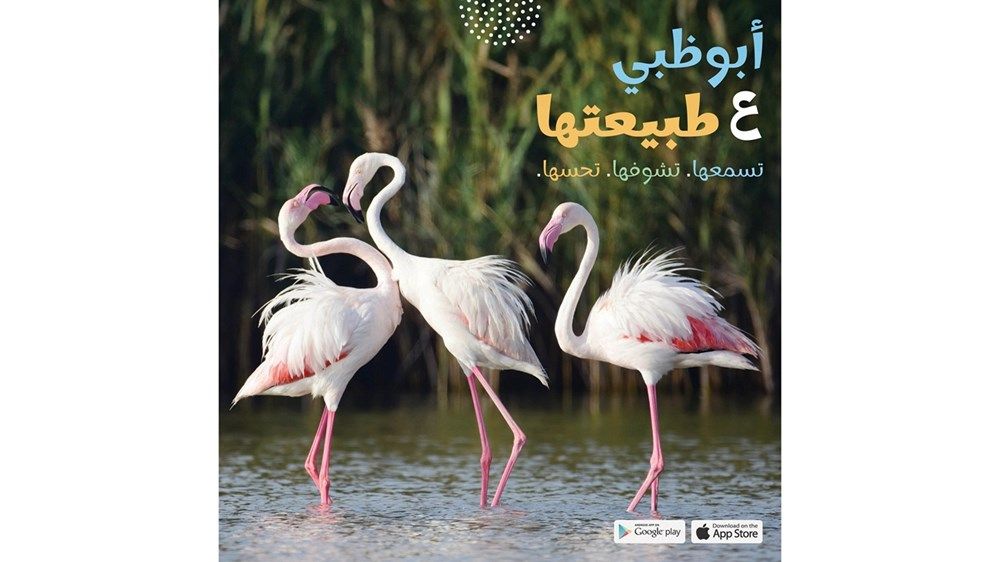 «أبوظبي ع طبيعتها» تبرز تفرد التنوع البيولوجي في الإمارة