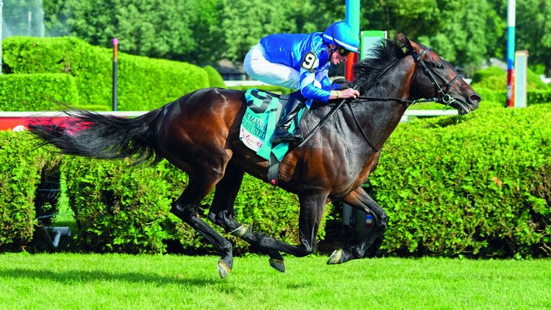 الامارات | «غودولفين» يهيمن على المركزين الأول والثاني في «مانهاتن ستيكس»