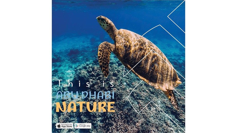 «أبوظبي ع طبيعتها» تبرز تفرد التنوع البيولوجي في الإمارة