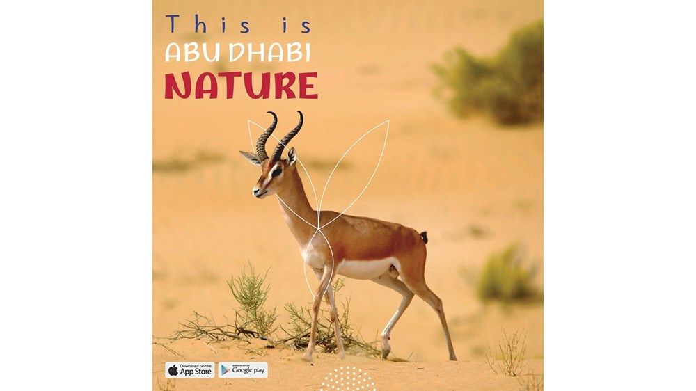 «أبوظبي ع طبيعتها» تبرز تفرد التنوع البيولوجي في الإمارة