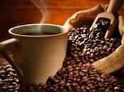 ناسف الدهون.. ضعيها على القهوة جسمك يتحول لماكنة حرق والتخلص من دهون الكرش والبطن نهائيا بدون رياضة