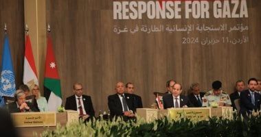 برلماني: الرئيس السيسي أكد للعالم موقف مصر الثابت من القضية الفلسطينية