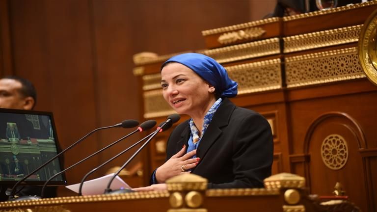 البيئة: تشكيل لجنة من محميات جنوب سيناء والبحر الأحمر للتحقيق في واقعة "الخراف النافقة"