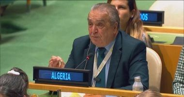 ممثل الجزائر لدى الأمم المتحدة: هدفنا وقف مجازر إسرائيل فى غزة