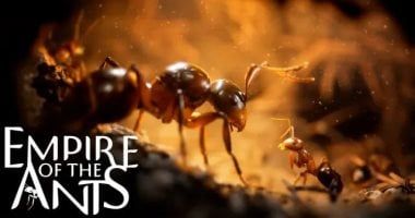 تكنولوجيا: لعبة Empire of the Ants تكشف حياة حشرة واقعية ويتم طرحها فى نوفمبر