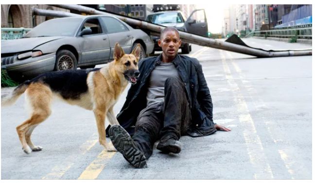 كان يرغب في تبنيها.. ويل سميث يتحدث عن كلبته في I Am Legend