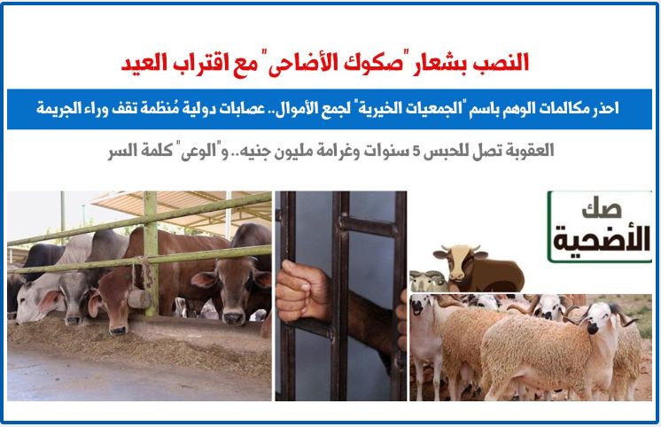 احذر.. السرقة والنصب باسم "صكوك الأضاحى" مع اقتراب عيد الأضحى.. برلمانى