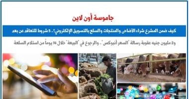 جاموسة أون لاين.. كيف ضمن المشرع شراء الأضاحى بالتسويق الإلكترونى؟ برلمانى