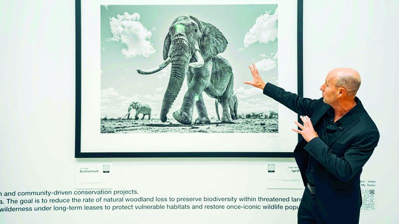 الامارات | حكايات عن الحياة البرية تزيّن مطار دبي