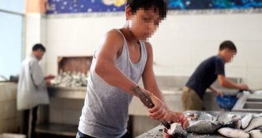 منظمة العمل العربية: 160 مليون طفل عامل فى العالم أعمارهم بين 5 – 11 عاما