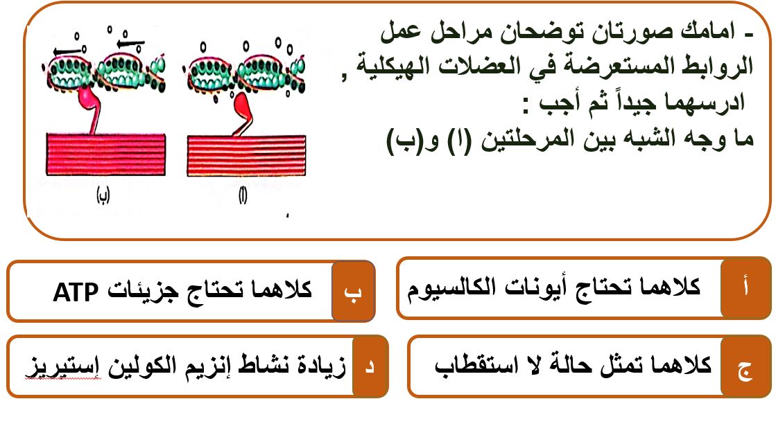 الثانوية العامة 2024.. أبرز 10 أسئلة متوقعة فى مادة الأحياء
