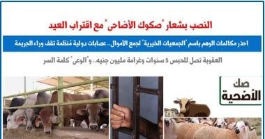 احذر.. السرقة والنصب باسم "صكوك الأضاحى" مع اقتراب عيد الأضحى.. برلمانى