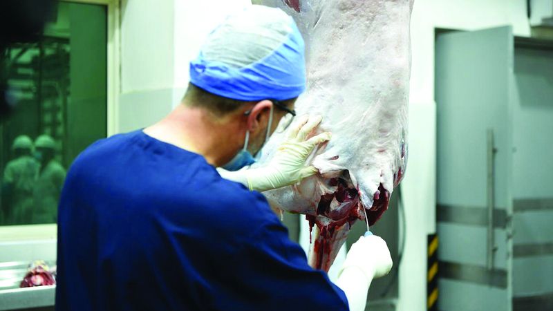 الامارات | «أبوظبي للزراعة» تحذر من التعامل مع القصابين الجائلين