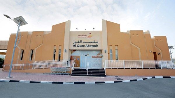 4 تطبيقات ذكية لشراء الأضاحي في دبي