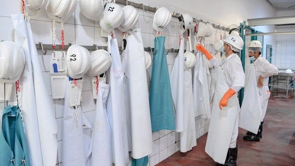 مسالخ أبوظبي تكمل جاهزيتها لعيد الأضحى