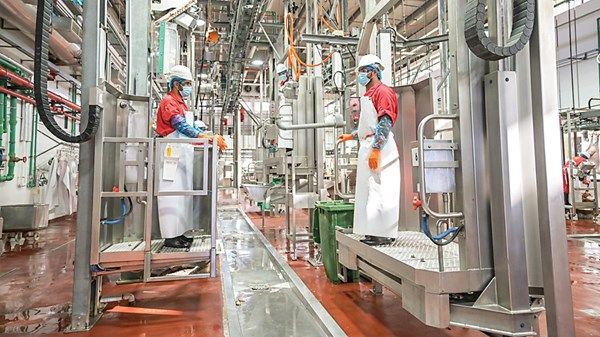 3 مسالخ بأبوظبي لتجهيز الأضاحي